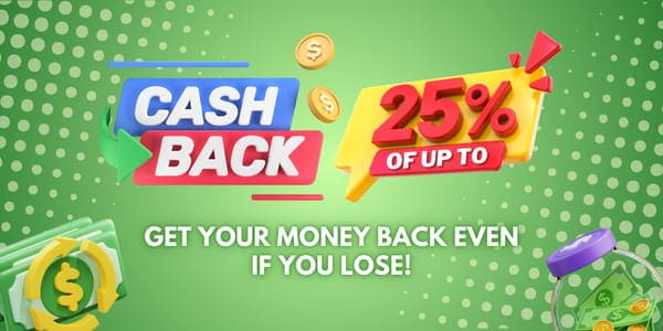 Daily rebate ledger promotion banner with wallet summary